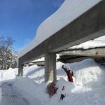 写真 2014-12-18 11 11 35