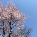 写真 2015-04-27 9 41 30